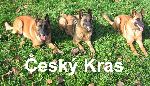 Chovatelska stanice ps: ČESKÝ KRAS