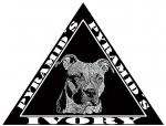 Chovatelska stanice ps: PYRAMID´S IVORY