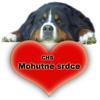 Chovatelska stanice ps: MOHUTNÉ SRDCE