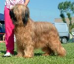 Chovatelska stanice ps: BADRIA´S DARLING