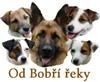 Chovatelska stanice ps: OD BOBŘÍ ŘEKY