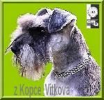 Chovatelska stanice ps: Z KOPCE VÍTKOVA FCI
