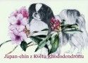 Chovatelska stanice ps: Z KVĚTU RHODODENDRONU