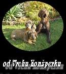 Chovatelska stanice ps: OD VRCHU RONŠPERKU