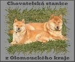 Chovatelska stanice ps: Z OLOMOUCKÉHO KRAJE
