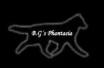 Chovatelska stanice ps: B.G´s Phantasia