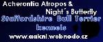 Chovatelska stanice ps: ACHERONTIA ATROPOS & NIGHT´S BUTTERFLY KENNELS