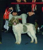 Chovatelska stanice ps: Z MÁCHOVA KRAJE OF BAJER