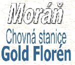 Chovatelska stanice ps: GOLD FLORÉN
