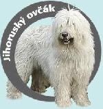 Chovatelska stanice ps: OD STARÉ FEHY