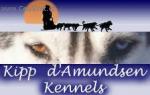 Chovatelska stanice ps: KIPP D´AMUNDSEN SIBERIAN HUSKY KENNELS