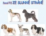 Chovatelska stanice ps: ZE SLUNNÉ STRÁNĚ